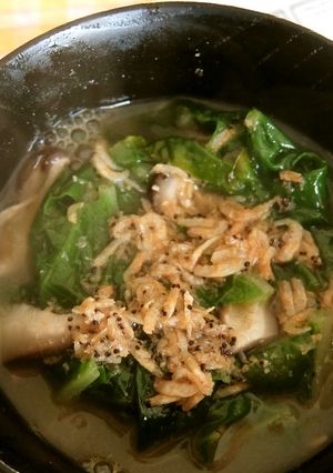 出汁不要！干し海老の白菜の味噌汁-レシピのメイン写真