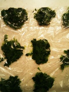 離乳食 ほうれん草の保存-レシピのメイン写真