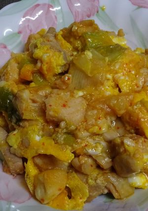 塩麹と豆板醤のピリ辛親子丼-レシピのメイン写真
