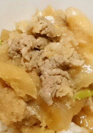 大人のみぞれ煮つゆだく牛丼♪-レシピのメイン写真