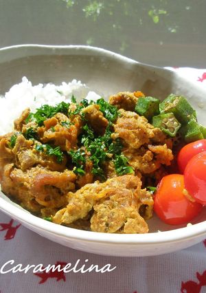 オーブントースターで＊タンドリー豚こま丼-レシピのメイン写真