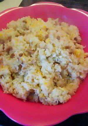 包丁いらず!油いらず!ツナっとう炒飯-レシピのメイン写真