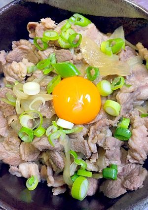 簡単な低カロリー柔らかいラム肉丼-レシピのメイン写真