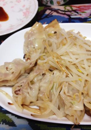 餃子もやし添え-レシピのメイン写真