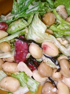 水煮豆で簡単ごまサラダ☆-レシピのメイン写真