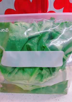 めんどくさがり屋の*レタス*保存方法-レシピのメイン写真