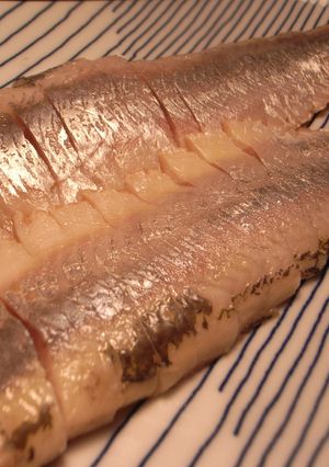 コノシロの酢漬け-レシピのメイン写真