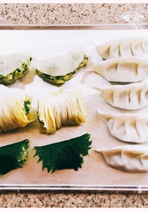 鍋の残り具材で野菜たっぷりヘルシー餃子！-レシピのメイン写真