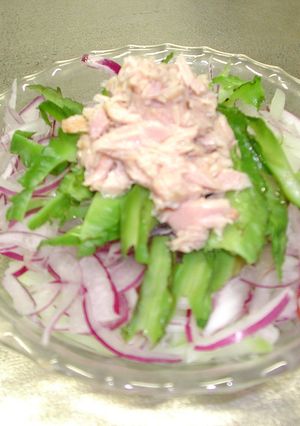 四角豆とパパイヤのサラダ-レシピのメイン写真