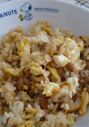 シラタキでヘルシー納豆柚子胡椒チャーハン-レシピのメイン写真
