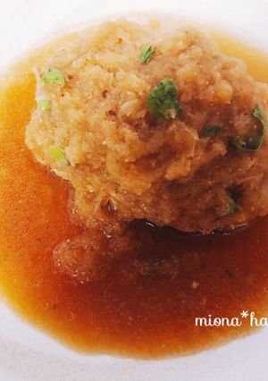 ハンバーグのおろし煮-レシピのメイン写真