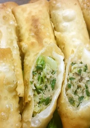 パリパリジューシー!餃子の具で春巻き-レシピのメイン写真