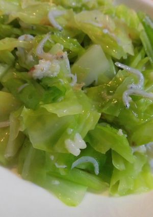 胃腸に優しい茹でキャベツしらすの塩麹あえ-レシピのメイン写真