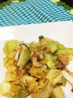 ご飯に合う!キャベツとひき肉の味噌炒め☆-レシピのメイン写真