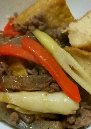 ☆挽肉 厚揚げ 細竹 こんにゃくの甘辛煮-レシピのメイン写真
