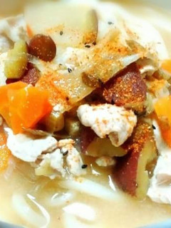 けんちん汁をリメイク♪豚汁うどん-レシピのメイン写真