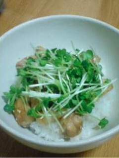鶏と白ネギの丼(ミソ味)-レシピのメイン写真