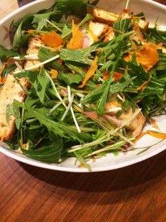 水菜と厚揚げのサラダ-レシピのメイン写真
