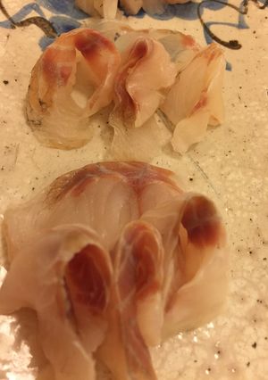 鱸の昆布締め-レシピのメイン写真
