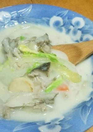 ひき肉とキャベツのクリームシチュー-レシピのメイン写真
