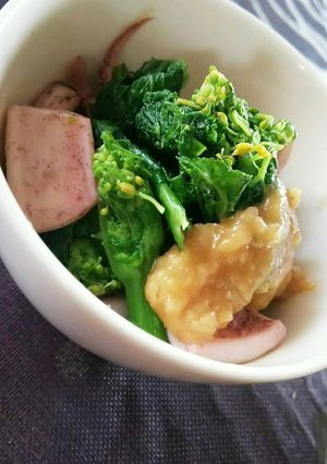 菜の花とイカの辛子味噌和え-レシピのメイン写真