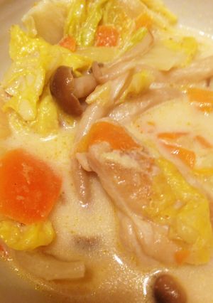 鶏肉の中華ミルクスープ-レシピのメイン写真