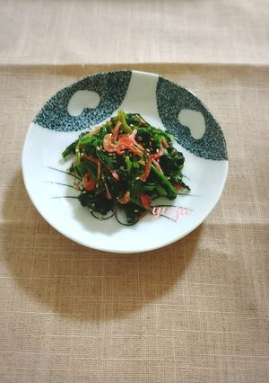 干し海老入り♪ほうれん草のおひたし-レシピのメイン写真