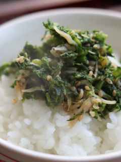 わさび菜としらす干しのしっとりふりかけ♪-レシピのメイン写真