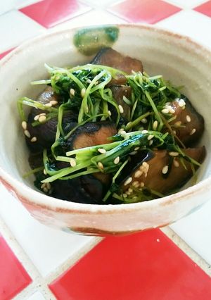 レンジで簡単♪なすと豆苗の甘酢和え-レシピのメイン写真