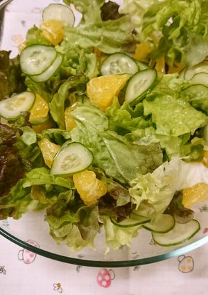 夏みかん入りサラダ-レシピのメイン写真