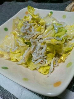 しらすのゴマサラダ◎-レシピのメイン写真
