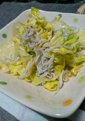 しらすのゴマサラダ◎-レシピのメイン写真