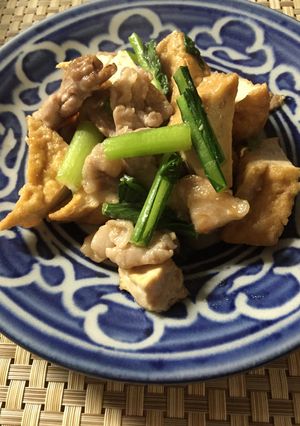 厚揚げと豚肉の醤油炒め-レシピのメイン写真