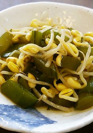 茎ワカメに豆もやし。-レシピのメイン写真