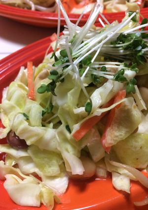 キャベツとお豆の作り置きサラダ-レシピのメイン写真