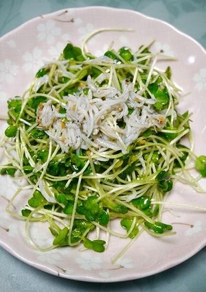 簡単！カイワレしらすのガーリックサラダ-レシピのメイン写真