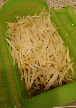 ずぼらなモヤシの食べ方-レシピのメイン写真