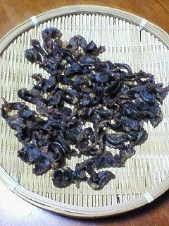 ワンコの砂肝ジャーキー-レシピのメイン写真