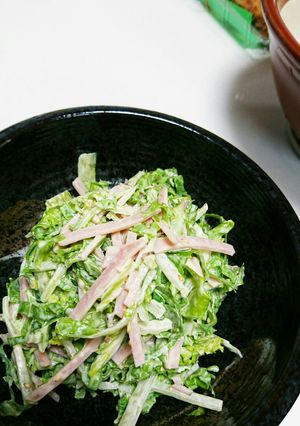 白菜のマヨネーズサラダ仕立て-レシピのメイン写真