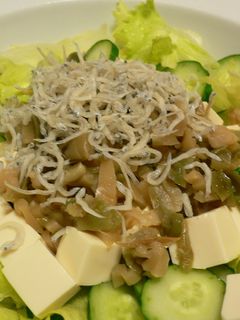 モリモリ食べれる中華風サラダ-レシピのメイン写真