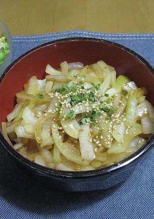血液サラサラ！玉ねぎ丼-レシピのメイン写真