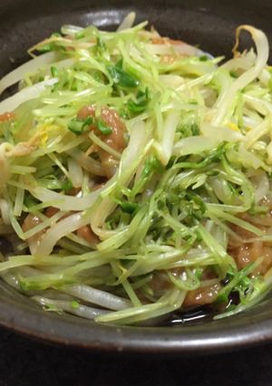 レンチン2分！豆苗ともやしの梅干しポン酢-レシピのメイン写真