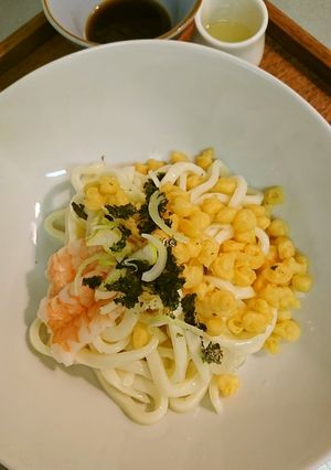 タヌキから讃岐うどんへ…-レシピのメイン写真