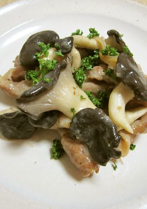 豚肉とヒラタケのクリーム煮-レシピのメイン写真