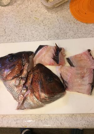 魚の霜降り（下ごしらえ・臭み抜きの）仕方-レシピのメイン写真