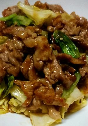 ☆豚肉 キャベツ 長ネギゴマ味噌炒め♡-レシピのメイン写真