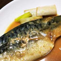 รูปของ 簡単15分のさばの味噌煮