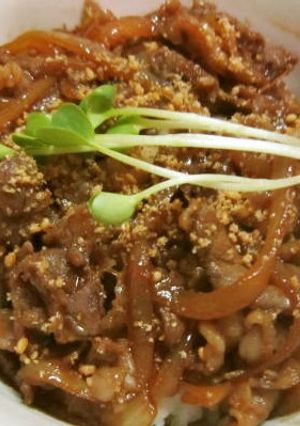 牛丼チックなエバラ焼肉丼-レシピのメイン写真