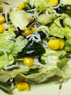 レタスとしらすの塩昆布サラダ-レシピのメイン写真