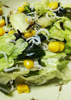 レタスとしらすの塩昆布サラダ-レシピのメイン写真
